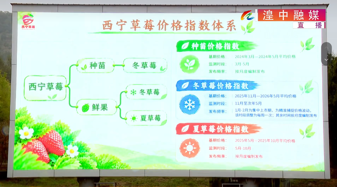 “西宁草莓价格指数”发布,数字赋能擦亮高原特色农业品牌 业界 第4张 “西宁草莓价格指数”发布,数字赋能擦亮高原特色农业品牌 业界 第4张