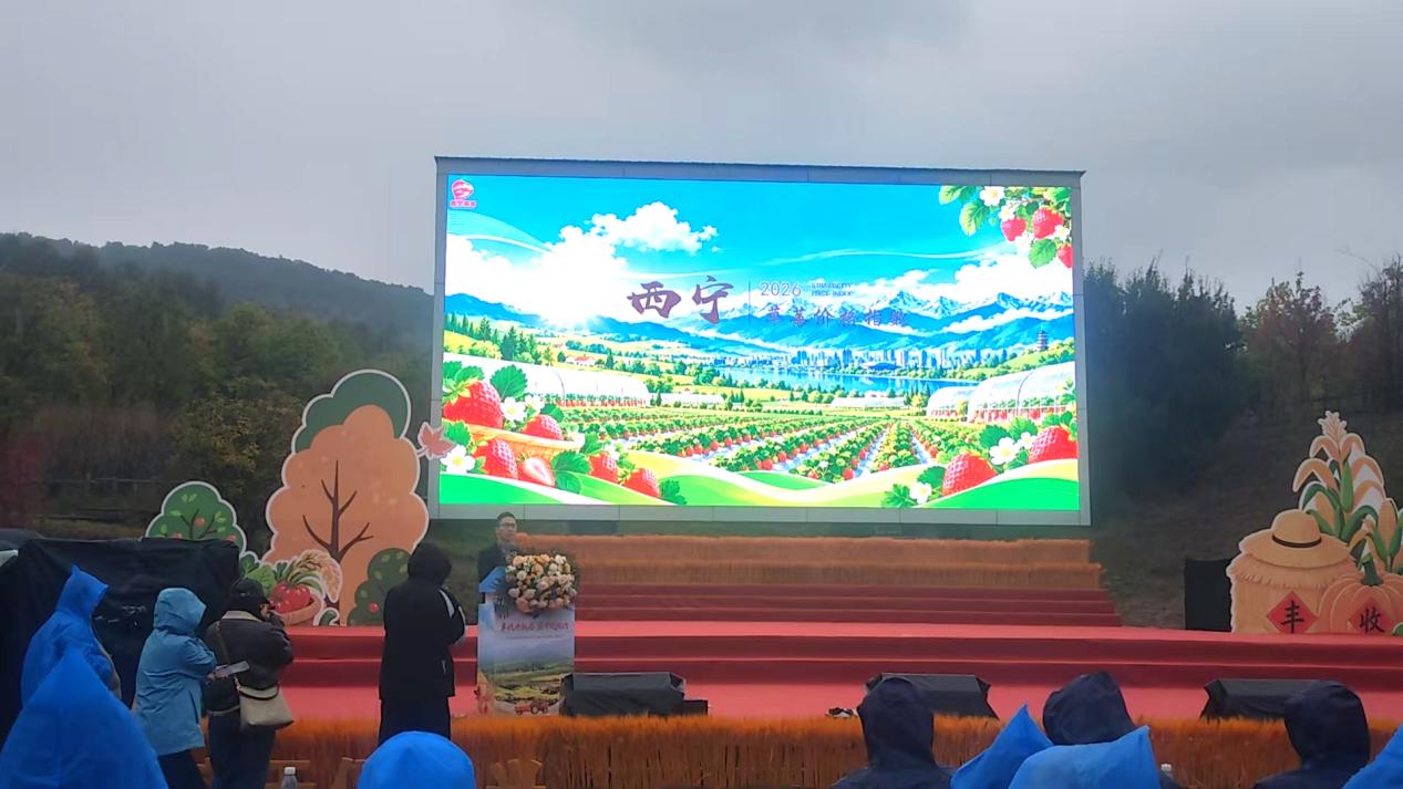 “西宁草莓价格指数”发布,数字赋能擦亮高原特色农业品牌 业界 第2张 “西宁草莓价格指数”发布,数字赋能擦亮高原特色农业品牌 业界 第2张