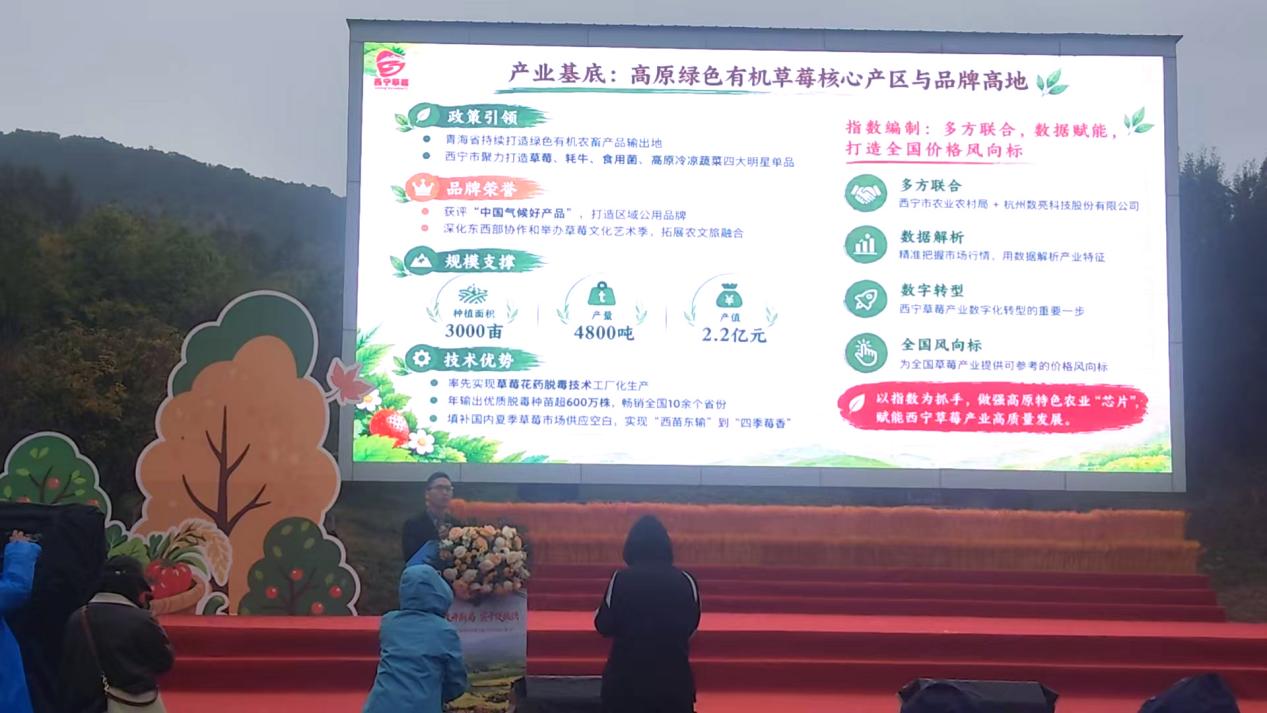 “西宁草莓价格指数”发布,数字赋能擦亮高原特色农业品牌 业界 第3张 “西宁草莓价格指数”发布,数字赋能擦亮高原特色农业品牌 业界 第3张